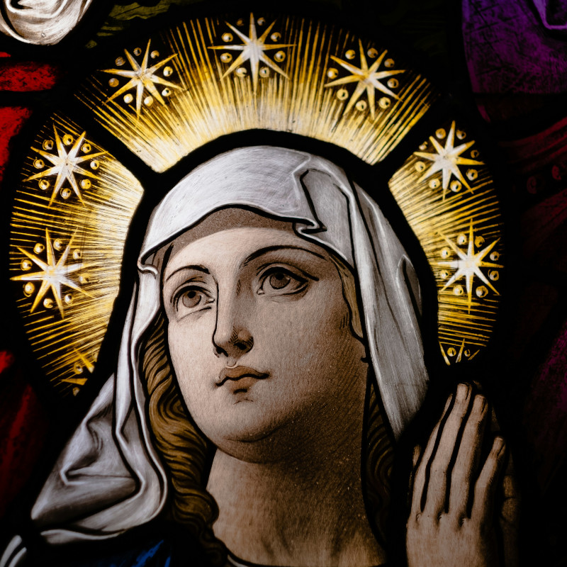 Maria Immacolata, icona di misericordia