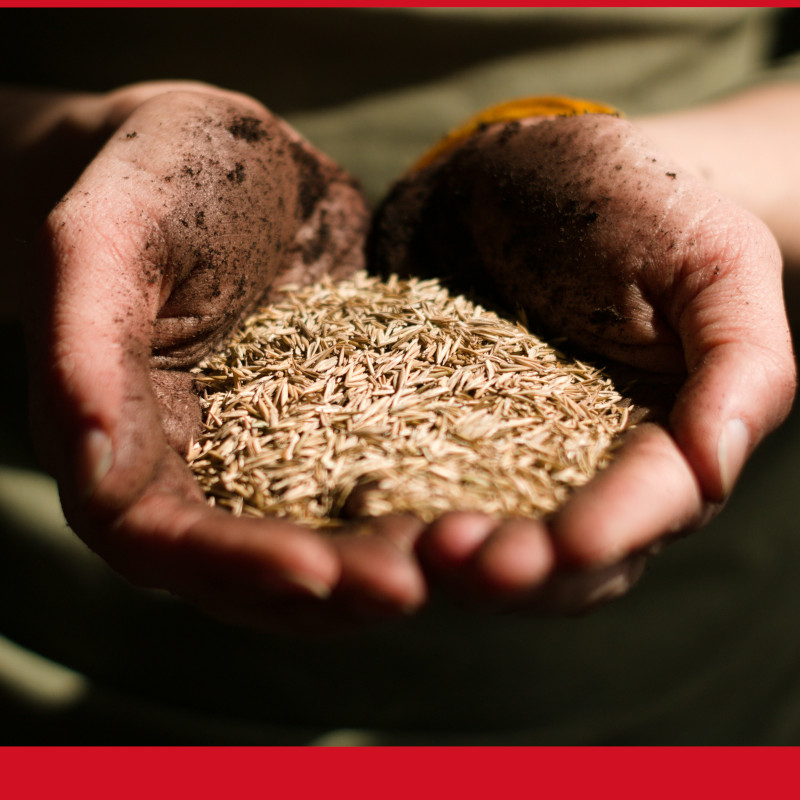 Salento | Semi di Integrazione: quando la cura diventa servizio