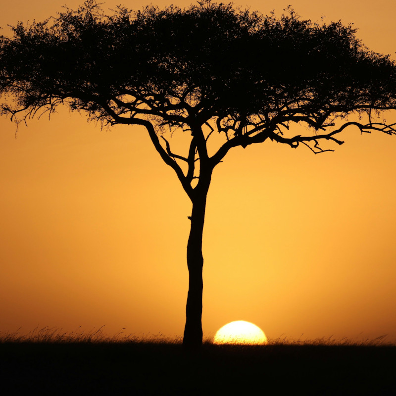 Uganda | I giovani cattolici in cammino