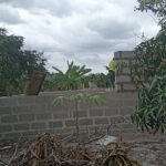 2025_settembre_3_suor_milia_tanzania_inizio_lavori_pollaio_impresa_sociale_progetto_hic_sum_spazio_spadoni (3)