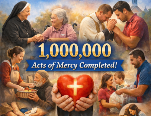 Florida, Saint Petersburg | 1.000.000 di opere di misericordia