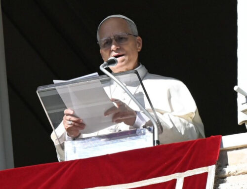 Vaticano | L’invito del Papa alla pace