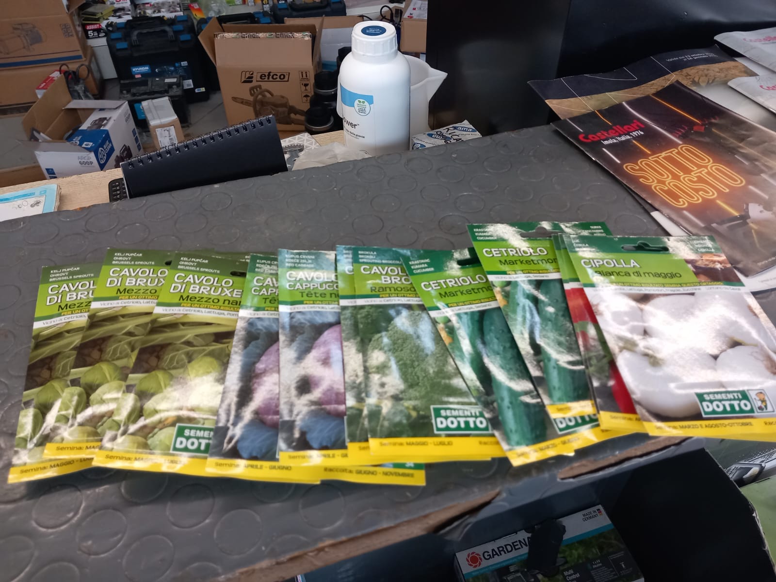 2021_agosto_hicsum_10_suor_Hyacinthe_italia_arezzo_misericordia_sansepolcro_formazione_impresa_sociale_cucina_spazio_spadoni