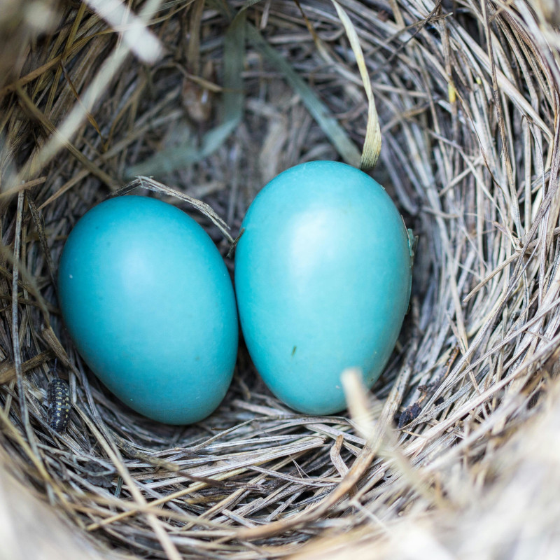 Riconoscere le fragilità ci porta a compiere opere di misericordia