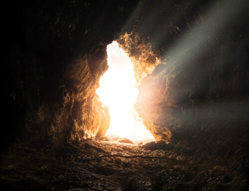 Il martirio di oggi, fede vissuta fino in fondo