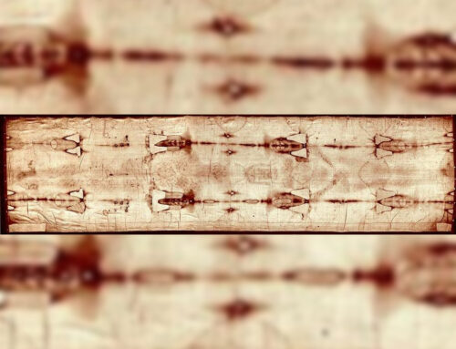 Da oggi la Sindone può essere analizzata online