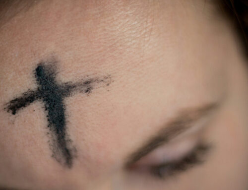 La cenere del perdono