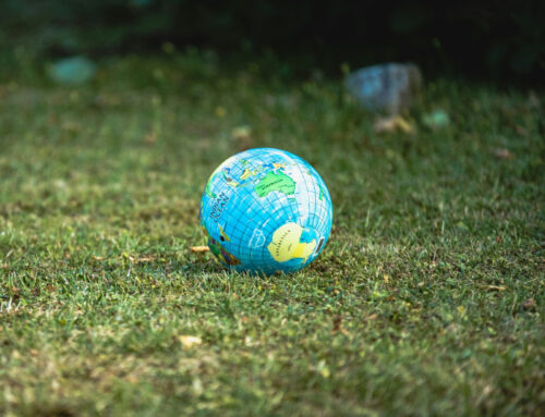 Opere di misericordia ai nostri giorni: rispettare la casa comune