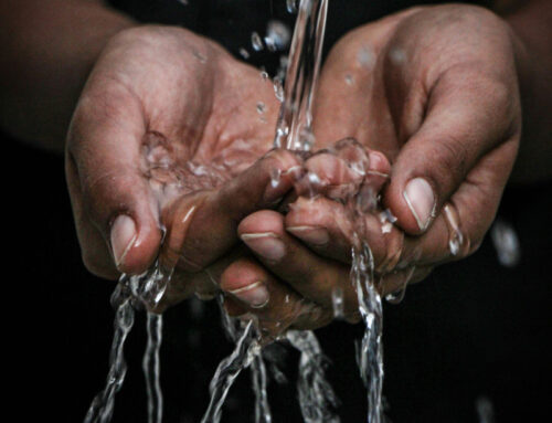 Vietnam | Le suore dominicane dissetano le comunità rurali