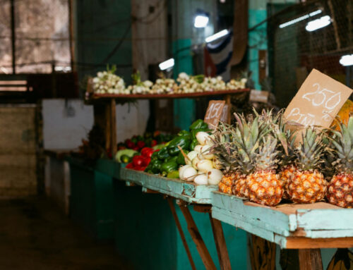 Cuba | L’allarme dei vescovi cubani
