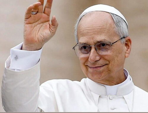 Il Papa annuncia la visita a Lampedusa | La gioia della Sicilia