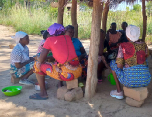 Zambia | Un pollaio contro la fame