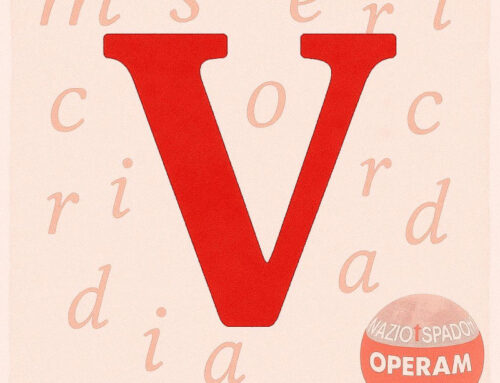 “L’alfabeto della Misericordia” | V come VISITARE