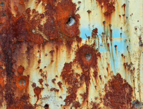 Medio Oriente | “La guerra, di nuovo!”