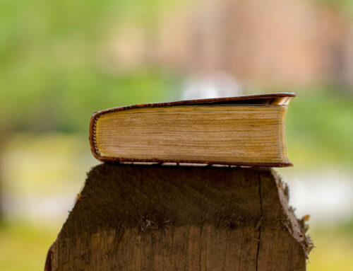 Sulla scia dell’esempio dei missionari martiri