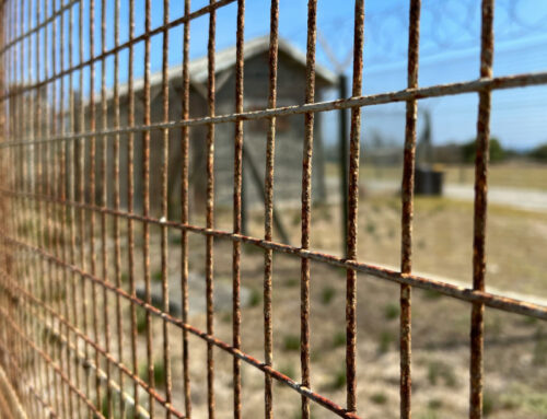 Unione Africana | Giornata in omaggio alle vittime della tratta transatlantica, del colonialismo e dell’apartheid