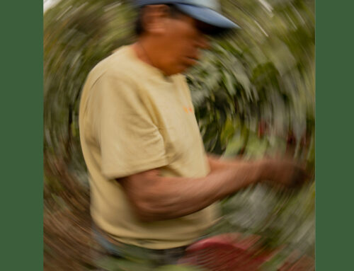 Milano, La Fiera del Consumo critico e degli stili di vita sostenibili: dire e fare la cosa giusta