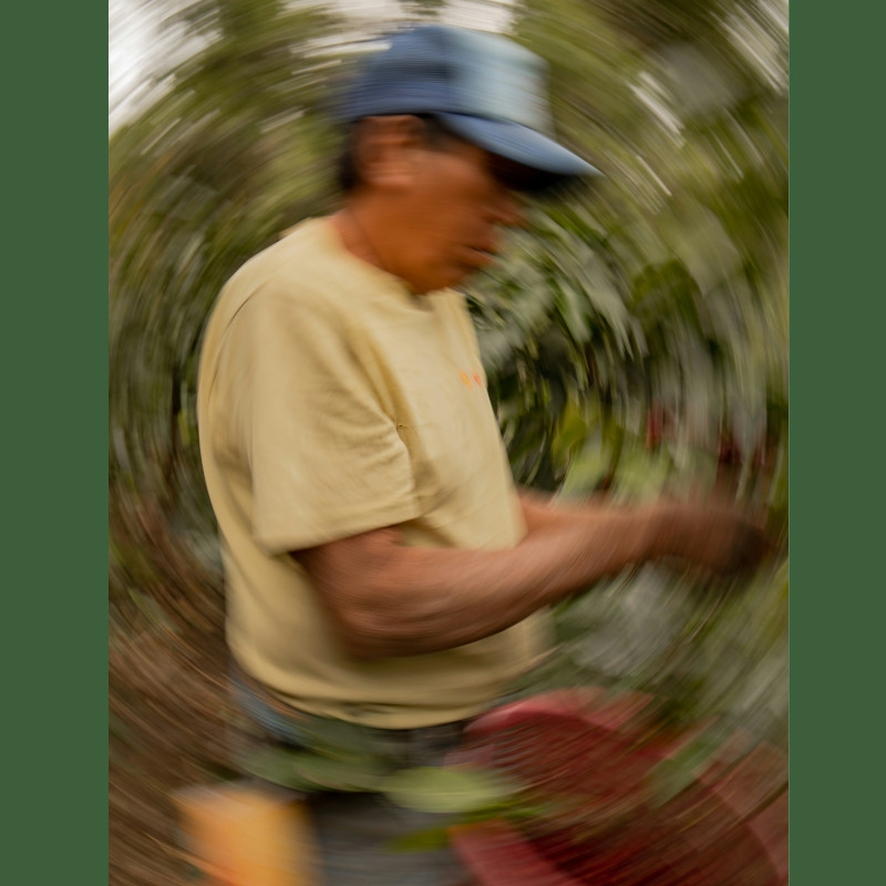 Milano, La Fiera del Consumo critico e degli stili di vita sostenibili: dire e fare la cosa giusta