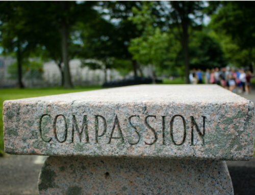 Compassione per i bisognosi