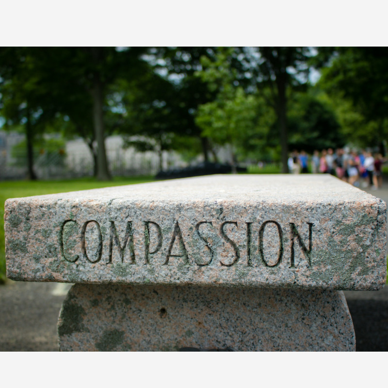 Compassione per i bisognosi