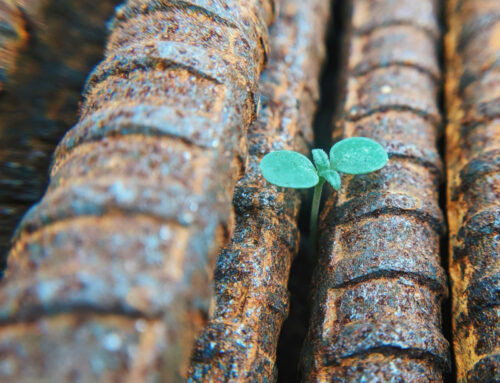 Creare spazi di speranza