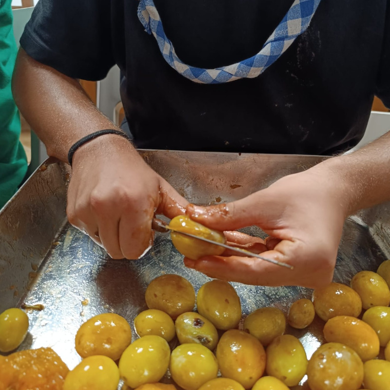 L’ecologia integrale: un’opera di misericordia