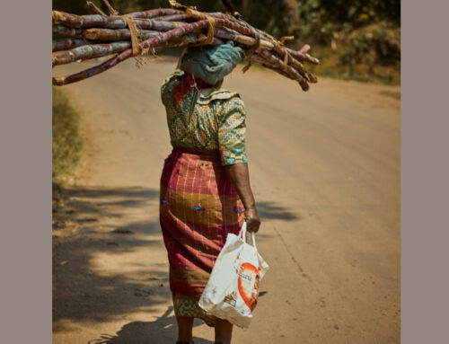 World Day of Prayer | “Venite… io vi farò riposare”: La preghiera delle donne che consola il mondo