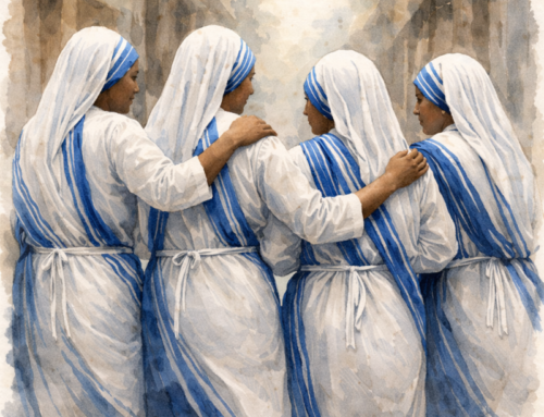 Asia, Yemen | Le “suore col grembiule”, testimoni di misericordia fino alla fine