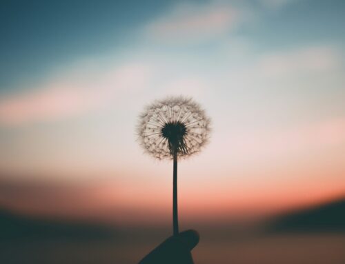 Quando la guerra cambia i piani… Pregare Dio per i vivi e per i morti