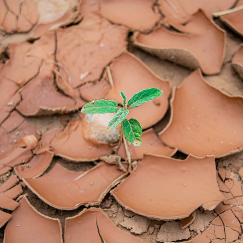Resurrezione è dare vita al prossimo, proprio attraverso le opere di misericordia