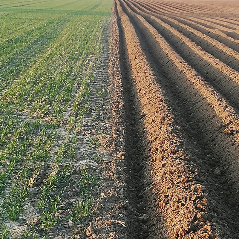 seminare_opere-misericordia seminare_opere-misericordia