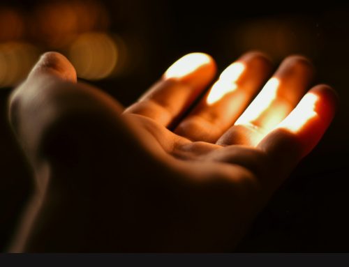 Un mondo ferito chiede misericordia: la carità come risposta al nostro tempo