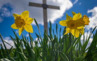 Pasqua-rinascita_opere-misericordia_spazio-spadoni