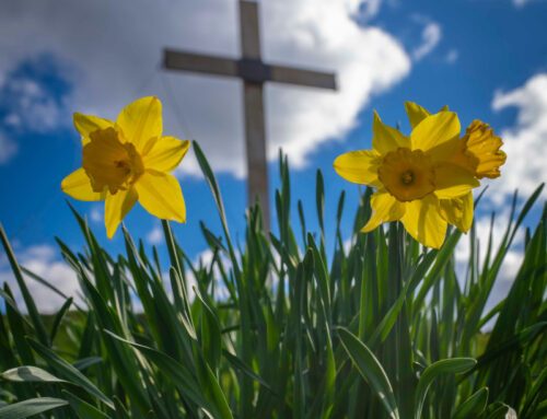 Ai crocifissi della Terra: l’augurio di spazio + spadoni