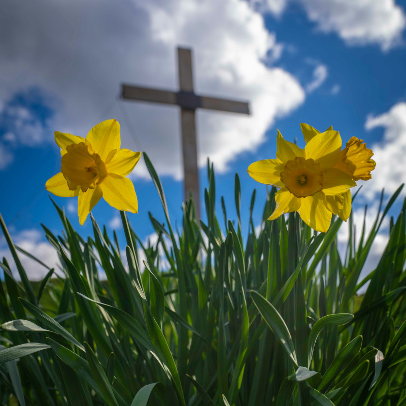 Ai crocifissi della Terra: l’augurio di spazio + spadoni