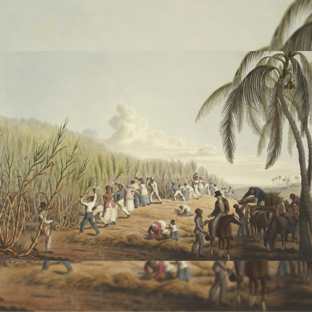 Pittura di raccolti