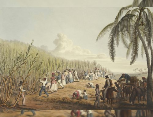 L’ONU dichiara la tratta degli schiavi africani “il più grave crimine contro l’umanità”