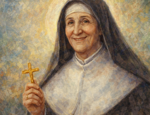 Santi di oggi 8 aprile