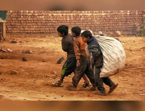 “Ascoltare il grido dei poveri e della terra”: il Sinodo come conversione del cuore