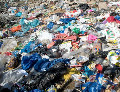 Quando basta uno sguardo per ridare dignità ai poveri