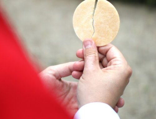 Donarci per il bene di tutti