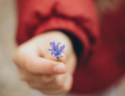 Portare la pace nei nostri ambienti