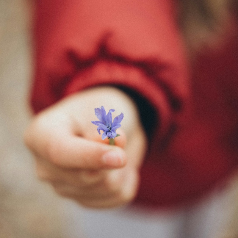 Portare la pace nei nostri ambienti