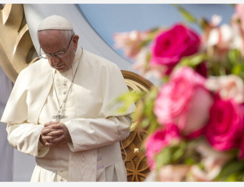 Dio fa fiorire la vita e la speranza