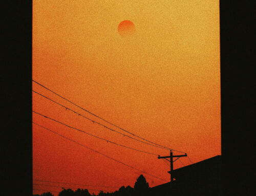 “Togliete la pietra”: la nuova vita in Cristo