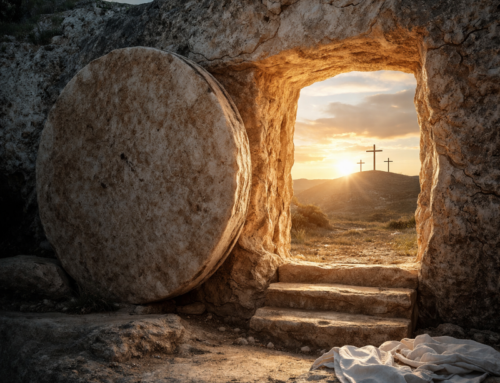 Opere di misericordia: liberare dai sepolcri della vita