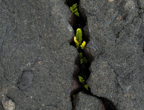 L’Aquila | Terremoto dell’anima e sisma. Le opere di misericordia rispondono