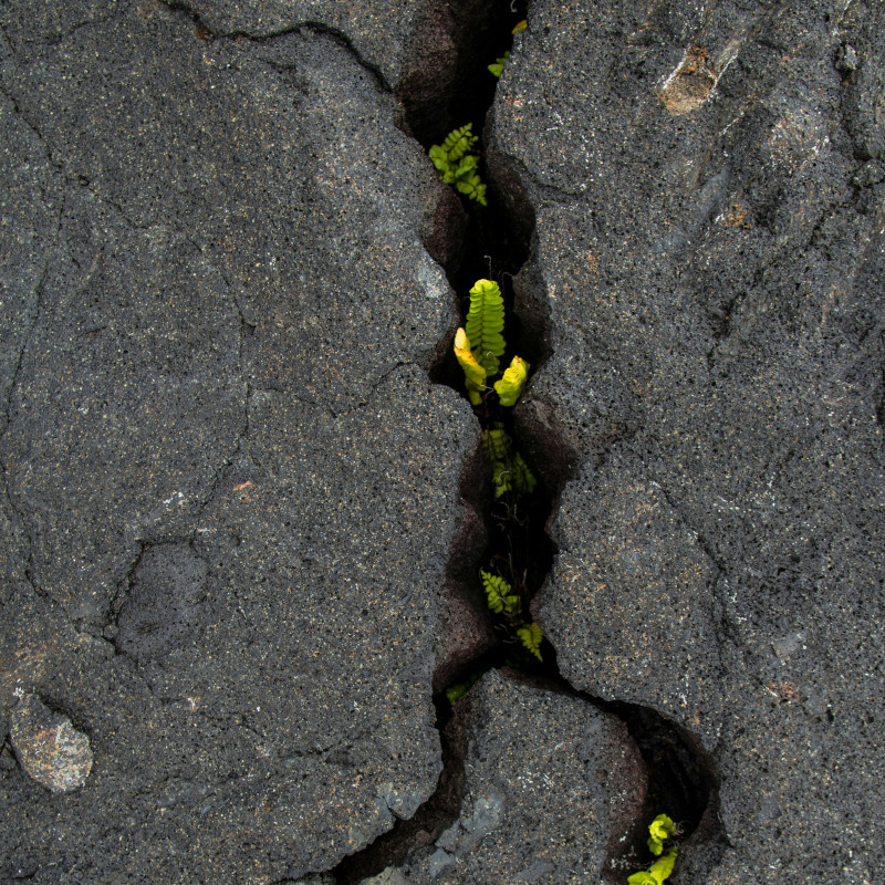 L’Aquila | Terremoto dell’anima e sisma. Le opere di misericordia rispondono