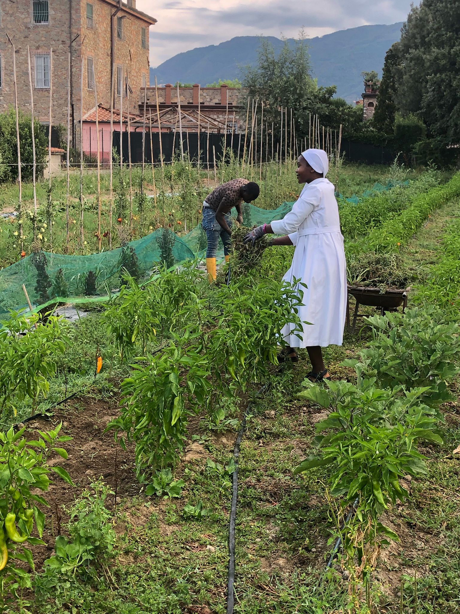 2022 agosto hicsum 12 suor marielouise lucca cooperativa calafata agricoltura barbantini ministre infermi formazione misericordia viareggio spazio spadoni 2