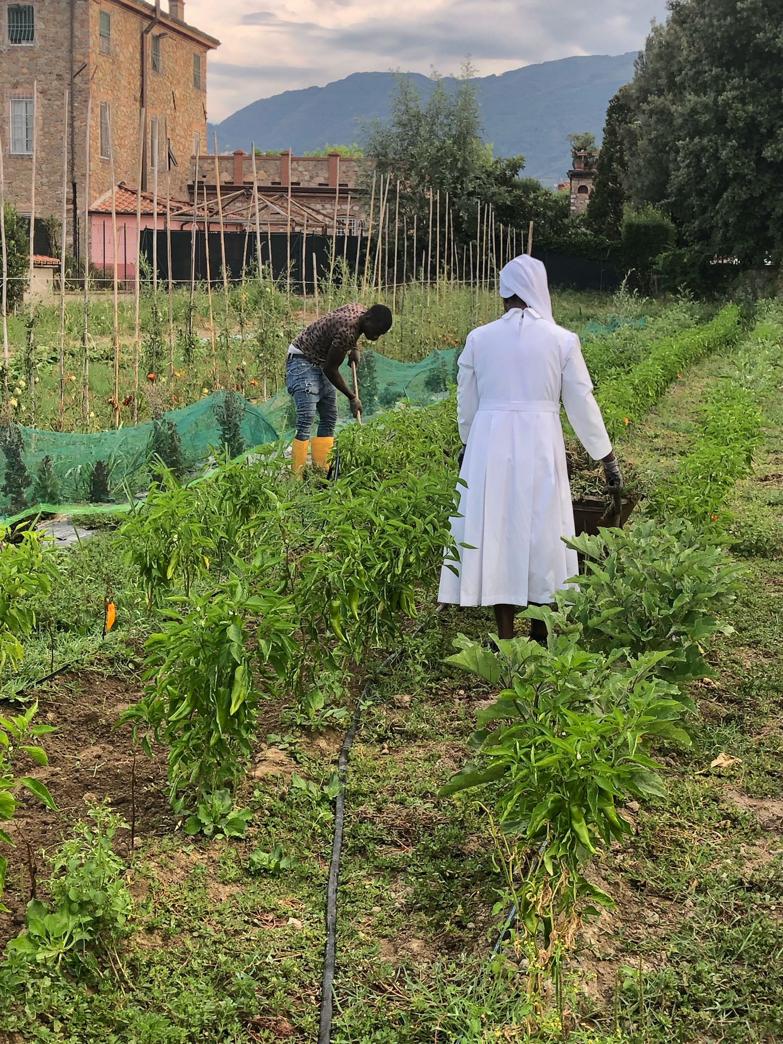 2022 agosto hicsum 12 suor marielouise lucca cooperativa calafata agricoltura barbantini ministre infermi formazione misericordia viareggio spazio spadoni 3 1